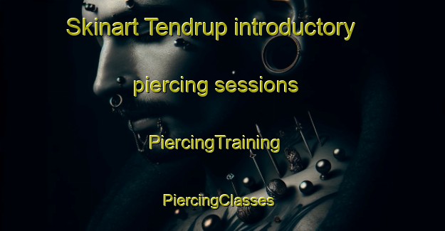 Skinart Tendrup introductory piercing sessions | PiercingTraining | PiercingClasses | SkinartTraining-Denmark