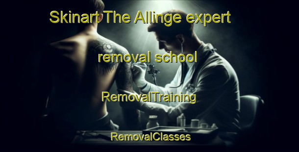 Skinart The Allinge expert removal school | RemovalTraining | RemovalClasses | SkinartTraining-Denmark