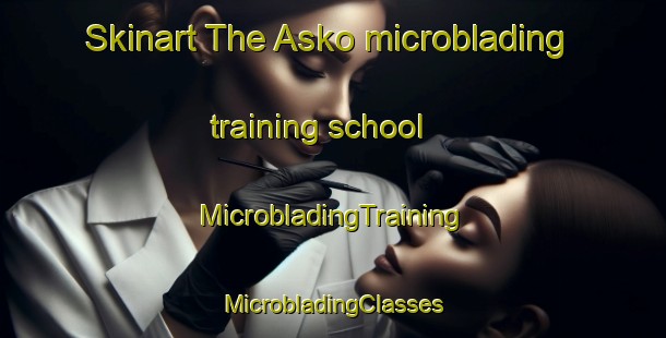 Skinart The Asko microblading training school | #MicrobladingTraining #MicrobladingClasses #SkinartTraining-Denmark