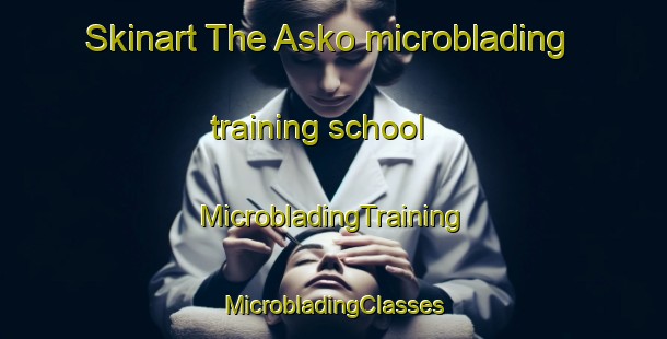 Skinart The Asko microblading training school | #MicrobladingTraining #MicrobladingClasses #SkinartTraining-Denmark