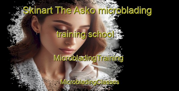 Skinart The Asko microblading training school | #MicrobladingTraining #MicrobladingClasses #SkinartTraining-Denmark