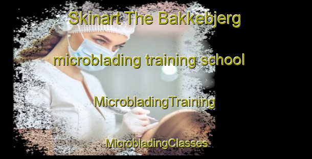 Skinart The Bakkebjerg microblading training school | #MicrobladingTraining #MicrobladingClasses #SkinartTraining-Denmark