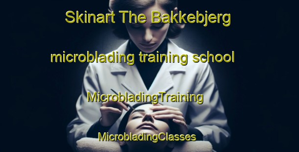 Skinart The Bakkebjerg microblading training school | MicrobladingTraining | MicrobladingClasses | SkinartTraining-Denmark