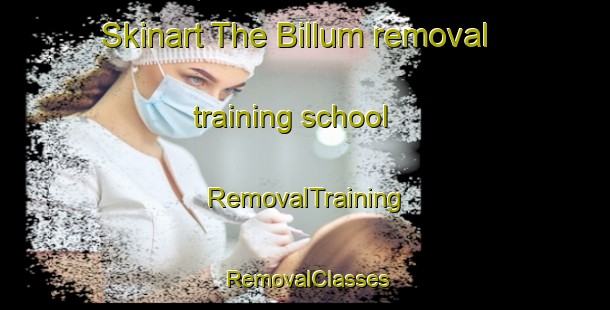 Skinart The Billum removal training school | RemovalTraining | RemovalClasses | SkinartTraining-Denmark