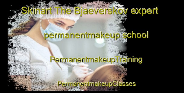 Skinart The Bjaeverskov expert permanentmakeup school | #PermanentmakeupTraining #PermanentmakeupClasses #SkinartTraining-Denmark