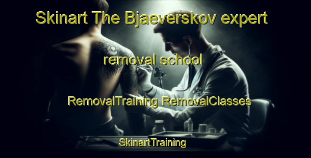 Skinart The Bjaeverskov expert removal school | #RemovalTraining #RemovalClasses #SkinartTraining-Denmark