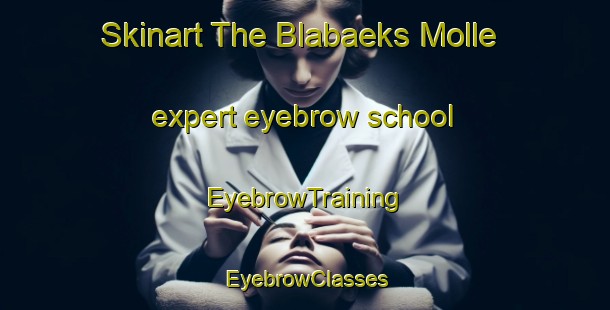 Skinart The Blabaeks Molle expert eyebrow school | EyebrowTraining | EyebrowClasses | SkinartTraining-Denmark