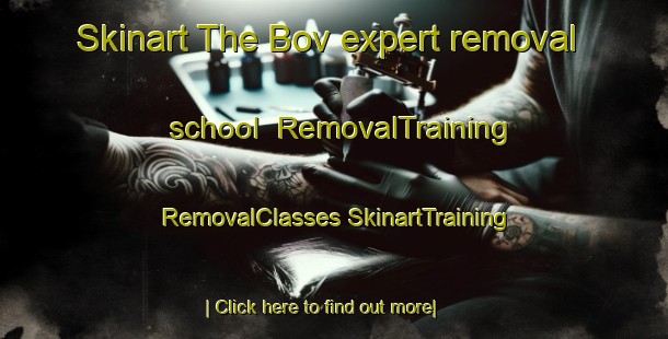 Skinart The Bov expert removal school | #RemovalTraining #RemovalClasses #SkinartTraining-Denmark