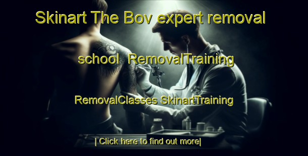 Skinart The Bov expert removal school | #RemovalTraining #RemovalClasses #SkinartTraining-Denmark