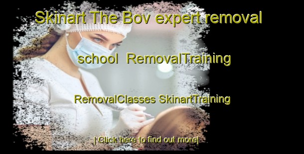 Skinart The Bov expert removal school | #RemovalTraining #RemovalClasses #SkinartTraining-Denmark