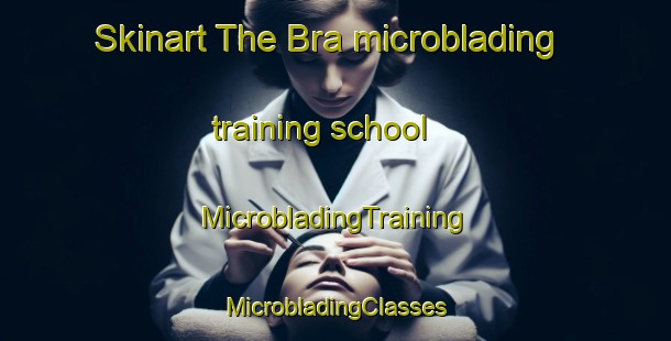 Skinart The Bra microblading training school | #MicrobladingTraining #MicrobladingClasses #SkinartTraining-Denmark