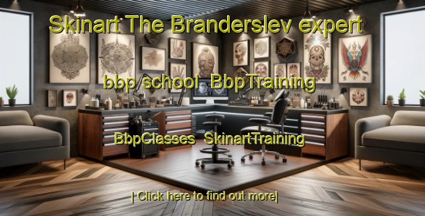 Skinart The Branderslev expert bbp school | BbpTraining | BbpClasses | SkinartTraining-Denmark