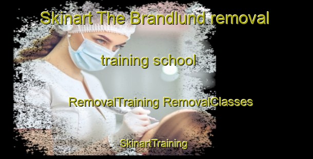 Skinart The Brandlund removal training school | #RemovalTraining #RemovalClasses #SkinartTraining-Denmark