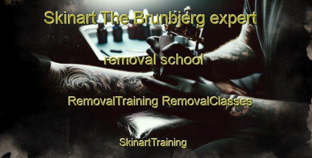 Skinart The Brunbjerg expert removal school | #RemovalTraining #RemovalClasses #SkinartTraining-Denmark