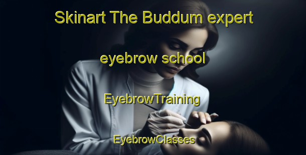 Skinart The Buddum expert eyebrow school | EyebrowTraining | EyebrowClasses | SkinartTraining-Denmark