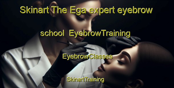 Skinart The Ega expert eyebrow school | EyebrowTraining | EyebrowClasses | SkinartTraining-Denmark