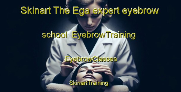 Skinart The Ega expert eyebrow school | EyebrowTraining | EyebrowClasses | SkinartTraining-Denmark
