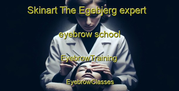 Skinart The Egebjerg expert eyebrow school | EyebrowTraining | EyebrowClasses | SkinartTraining-Denmark