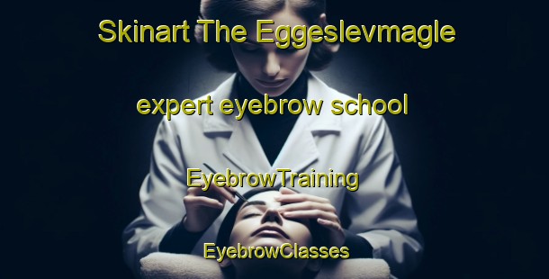 Skinart The Eggeslevmagle expert eyebrow school | EyebrowTraining | EyebrowClasses | SkinartTraining-Denmark