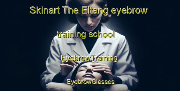 Skinart The Eltang eyebrow training school | EyebrowTraining | EyebrowClasses | SkinartTraining-Denmark