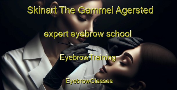 Skinart The Gammel Agersted expert eyebrow school | EyebrowTraining | EyebrowClasses | SkinartTraining-Denmark