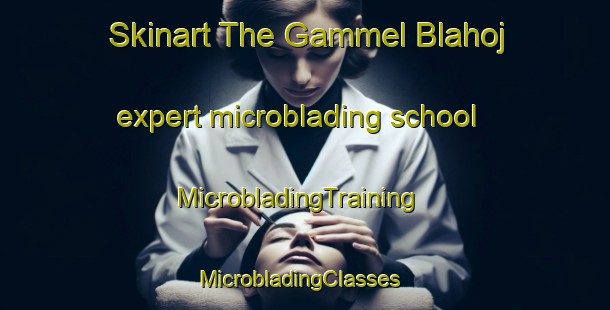 Skinart The Gammel Blahoj expert microblading school | MicrobladingTraining | MicrobladingClasses | SkinartTraining-Denmark