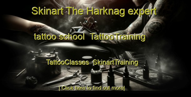 Skinart The Harknag expert tattoo school | TattooTraining | TattooClasses | SkinartTraining-Denmark