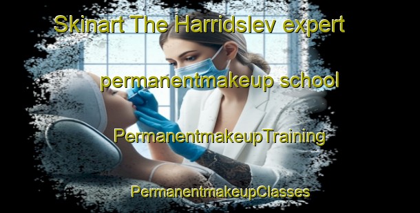 Skinart The Harridslev expert permanentmakeup school | #PermanentmakeupTraining #PermanentmakeupClasses #SkinartTraining-Denmark