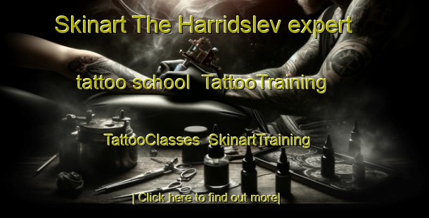 Skinart The Harridslev expert tattoo school | TattooTraining | TattooClasses | SkinartTraining-Denmark