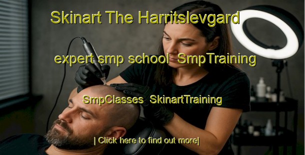 Skinart The Harritslevgard expert smp school | SmpTraining | SmpClasses | SkinartTraining-Denmark