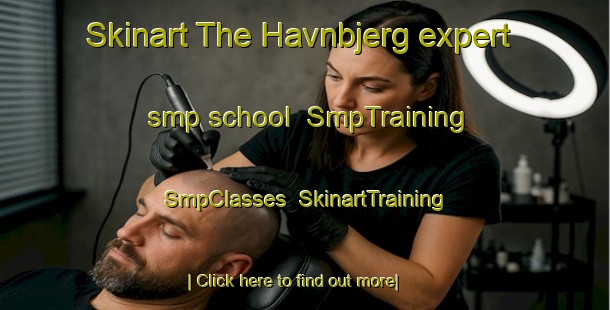 Skinart The Havnbjerg expert smp school | SmpTraining | SmpClasses | SkinartTraining-Denmark