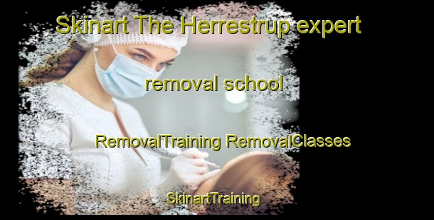 Skinart The Herrestrup expert removal school | #RemovalTraining #RemovalClasses #SkinartTraining-Denmark