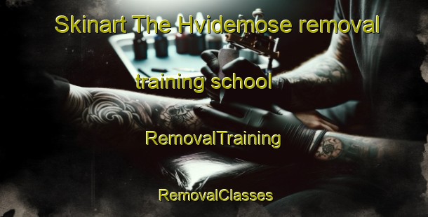 Skinart The Hvidemose removal training school | RemovalTraining | RemovalClasses | SkinartTraining-Denmark