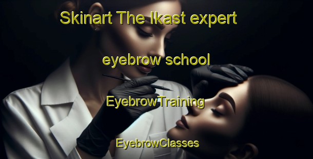 Skinart The Ikast expert eyebrow school | EyebrowTraining | EyebrowClasses | SkinartTraining-Denmark