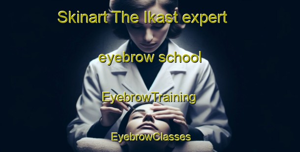 Skinart The Ikast expert eyebrow school | EyebrowTraining | EyebrowClasses | SkinartTraining-Denmark