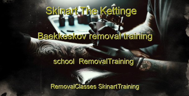 Skinart The Kettinge Baekkeskov removal training school | #RemovalTraining #RemovalClasses #SkinartTraining-Denmark