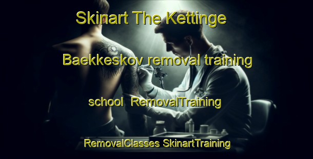 Skinart The Kettinge Baekkeskov removal training school | #RemovalTraining #RemovalClasses #SkinartTraining-Denmark