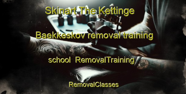 Skinart The Kettinge Baekkeskov removal training school | RemovalTraining | RemovalClasses | SkinartTraining-Denmark