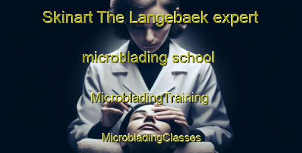 Skinart The Langebaek expert microblading school | #MicrobladingTraining #MicrobladingClasses #SkinartTraining-Denmark