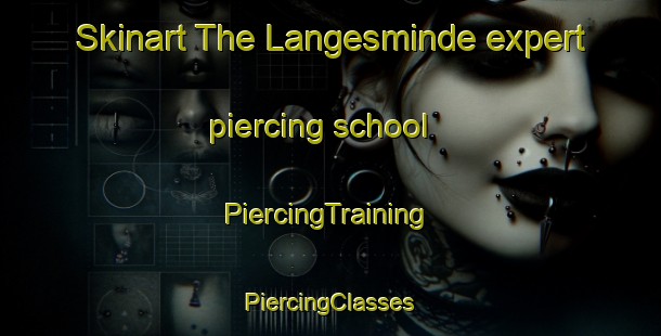 Skinart The Langesminde expert piercing school | #PiercingTraining #PiercingClasses #SkinartTraining-Denmark