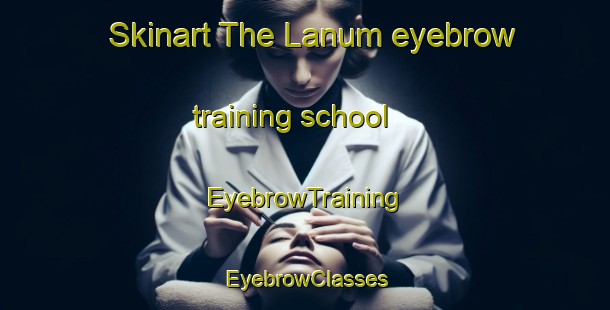 Skinart The Lanum eyebrow training school | EyebrowTraining | EyebrowClasses | SkinartTraining-Denmark