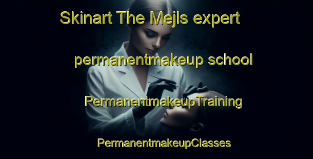 Skinart The Mejls expert permanentmakeup school | #PermanentmakeupTraining #PermanentmakeupClasses #SkinartTraining-Denmark