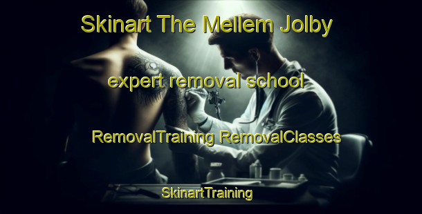 Skinart The Mellem Jolby expert removal school | #RemovalTraining #RemovalClasses #SkinartTraining-Denmark