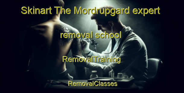 Skinart The Mordrupgard expert removal school | RemovalTraining | RemovalClasses | SkinartTraining-Denmark