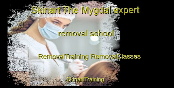 Skinart The Mygdal expert removal school | #RemovalTraining #RemovalClasses #SkinartTraining-Denmark