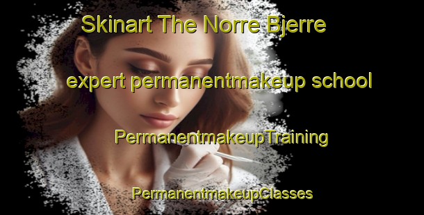 Skinart The Norre Bjerre expert permanentmakeup school | #PermanentmakeupTraining #PermanentmakeupClasses #SkinartTraining-Denmark