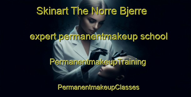 Skinart The Norre Bjerre expert permanentmakeup school | PermanentmakeupTraining | PermanentmakeupClasses | SkinartTraining-Denmark