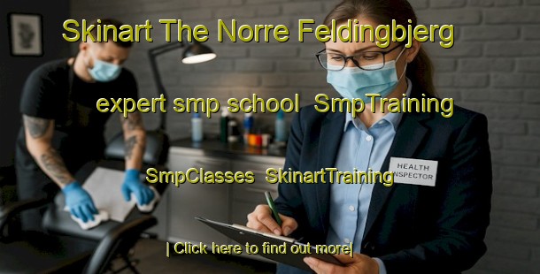 Skinart The Norre Feldingbjerg expert smp school | SmpTraining | SmpClasses | SkinartTraining-Denmark