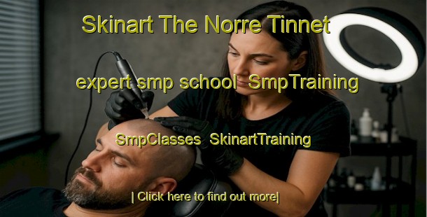 Skinart The Norre Tinnet expert smp school | SmpTraining | SmpClasses | SkinartTraining-Denmark