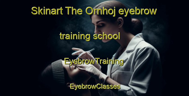 Skinart The Ornhoj eyebrow training school | EyebrowTraining | EyebrowClasses | SkinartTraining-Denmark